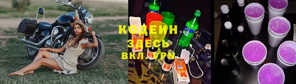 spice Бородино