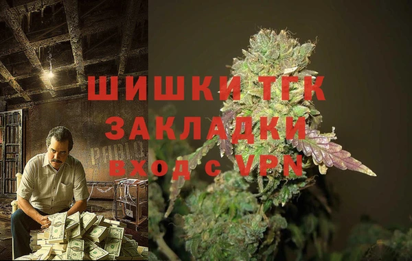 spice Бородино
