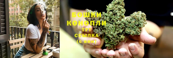 spice Бородино