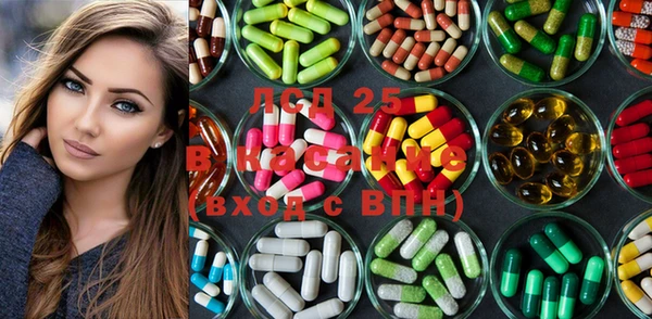 spice Бородино